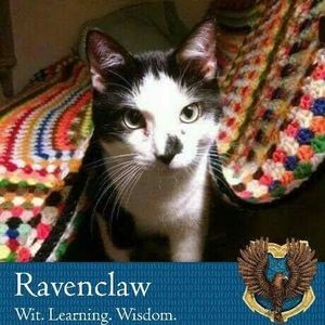 Meet your Posher, Autumn